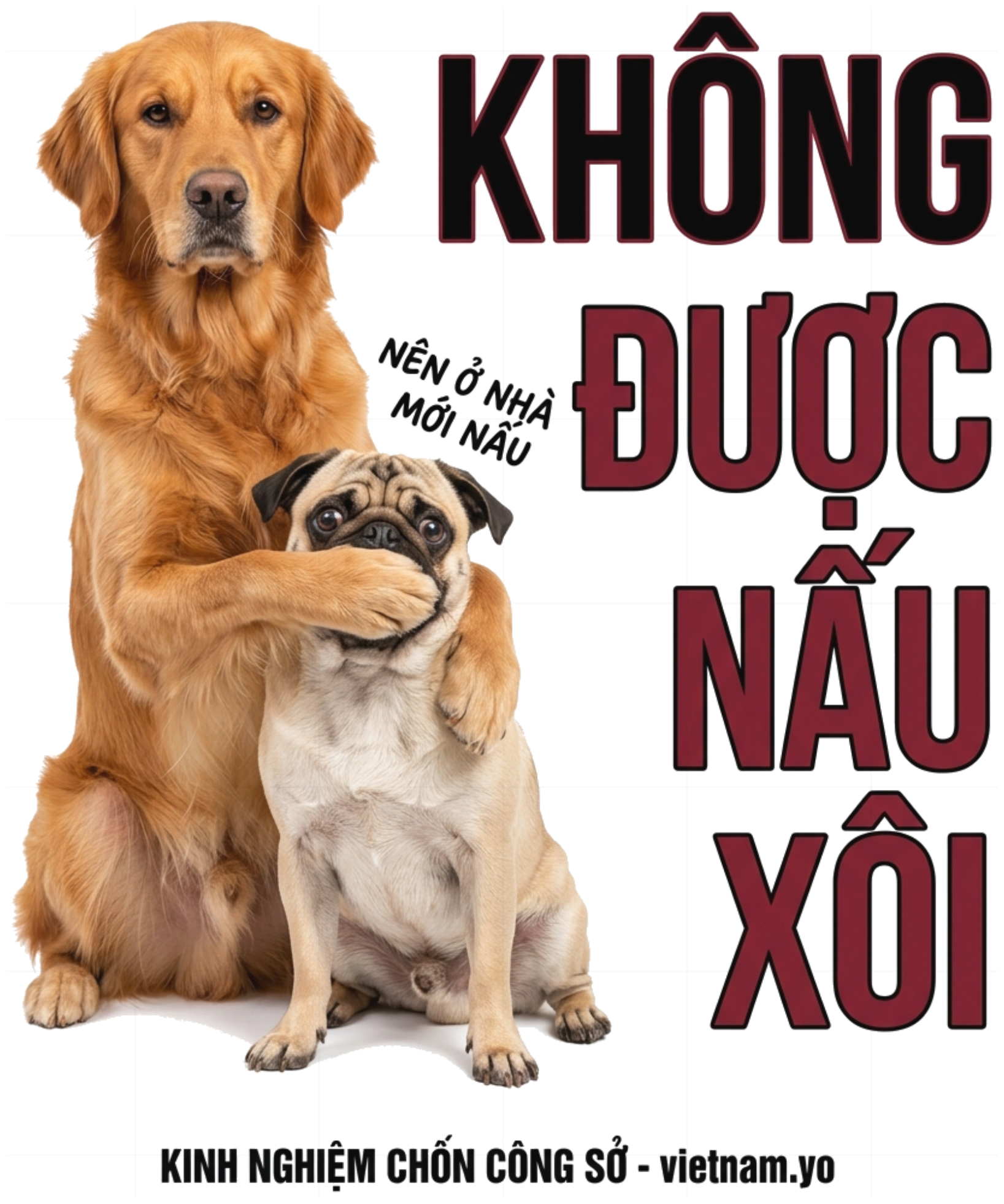 Áo Thun Trắng KHÔNG ĐƯỢC NẤU XÔI Hài Hước Văn Phòng Form Rộng Cotton Unisex Trend - 010826-09-43-XXT
