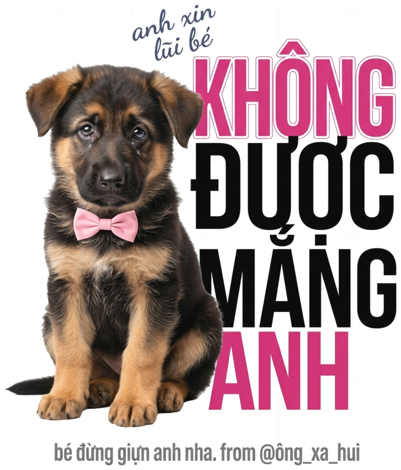 Áo Thun Trắng In Hình Chó Đức Mếu Máo Không Được Mắng Anh Cotton Unisex Form Rộng - 010826-10-06-LUX