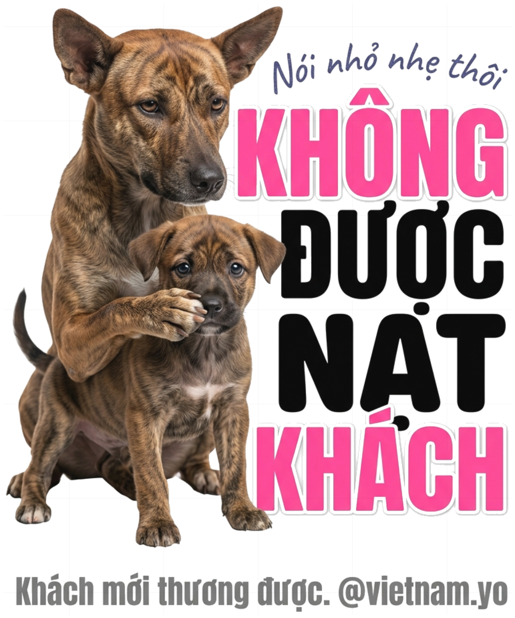 Áo Thun Trắng Cotton In Hình Chó Phú Quốc Không Được Nạt Khách Hài Hước Form Rộng Unisex - 010826-10-21-YRS