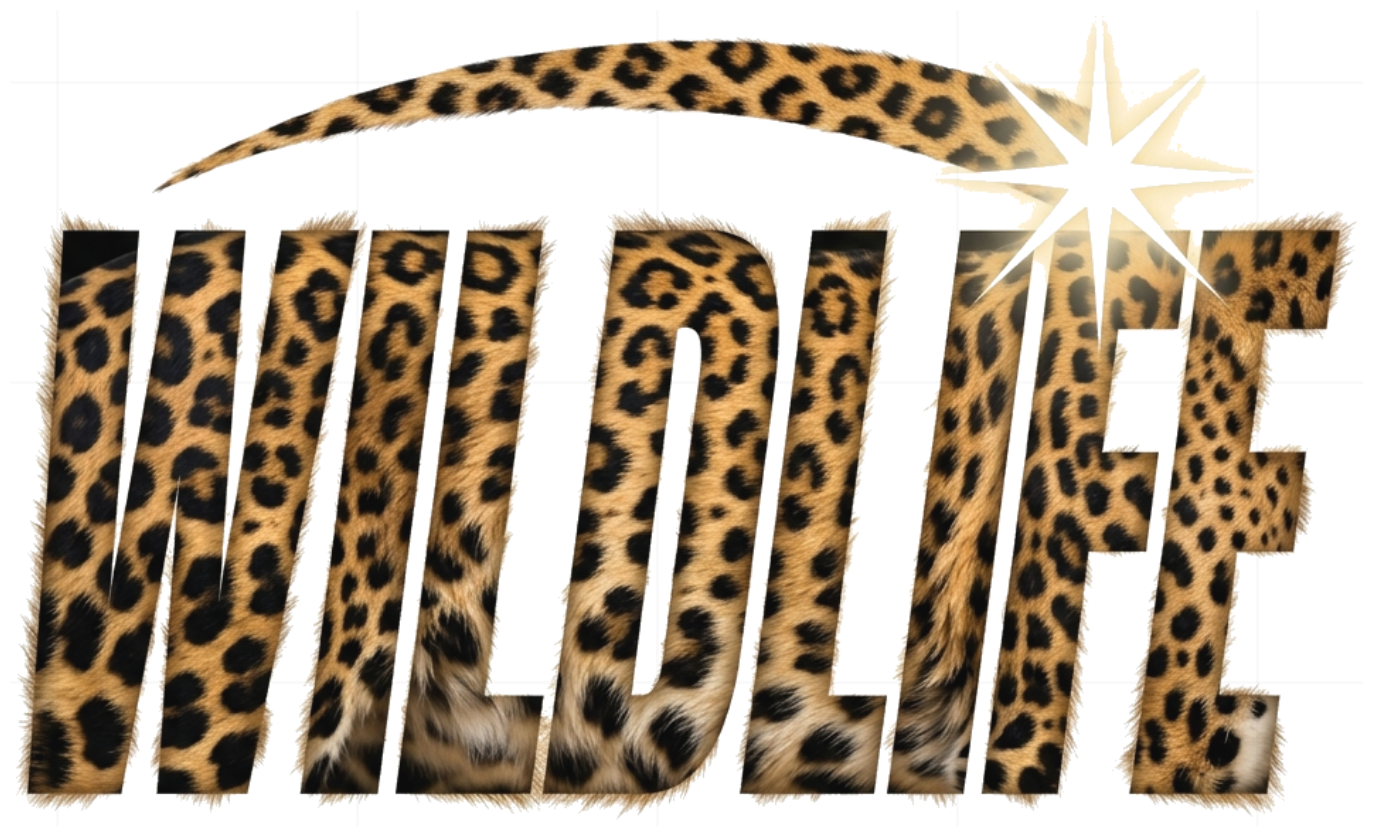 Áo Thun Wildlife Leopard Streetwear Unisex Form Rộng Cotton 100% Y2K Cực Chất 040926-18-23-KRF