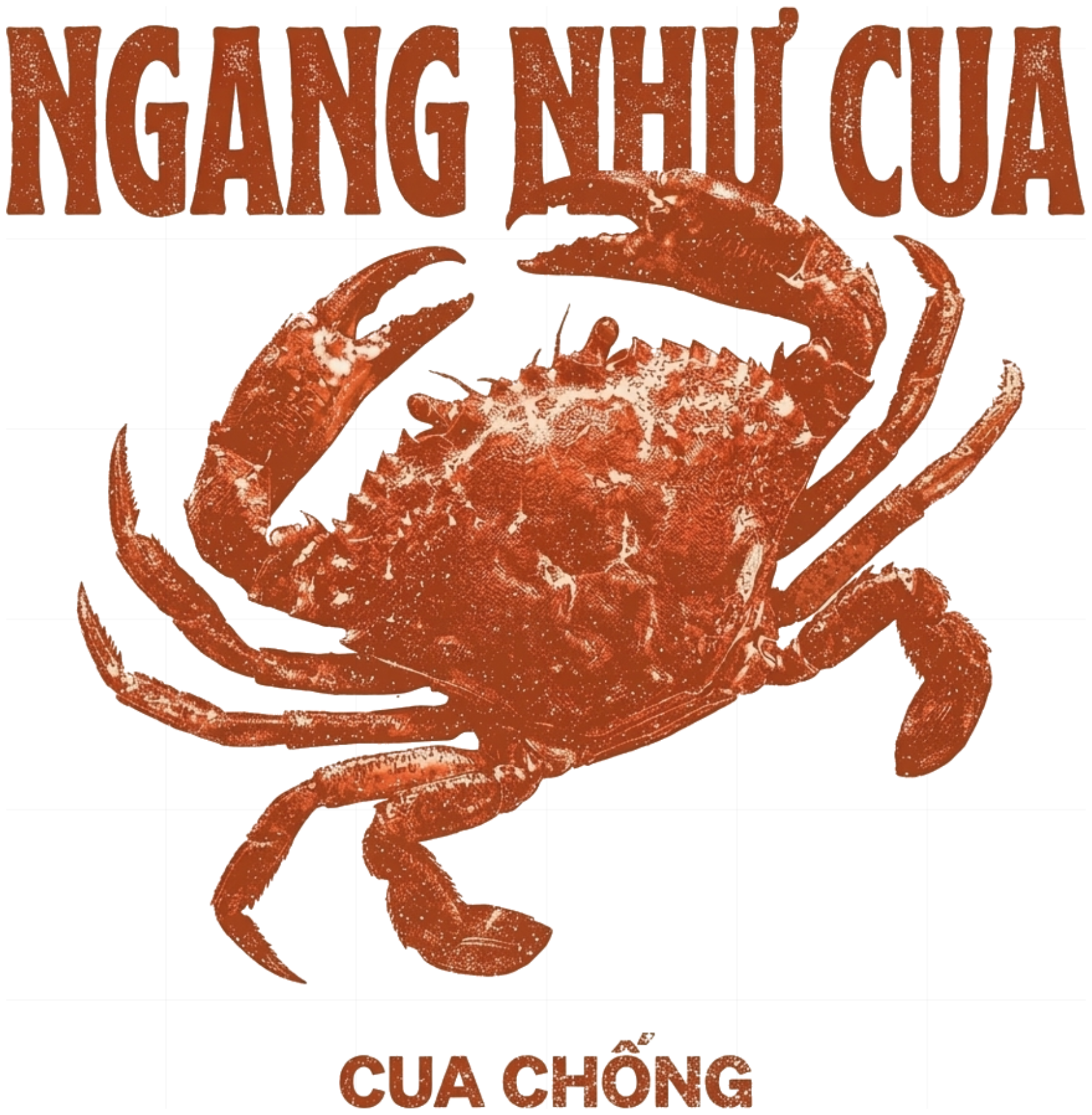 Áo Boxy Ngang Như Cua Unisex Streetwear Vintage Cotton Cực Chất vietnam.yo 090926-15-16-VHN