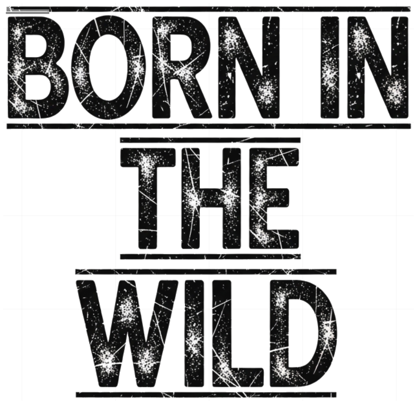 Áo Thun Born In The Wild Streetwear Unisex Form Rộng Cotton Cực Chất - 100626-14-13-ALJ