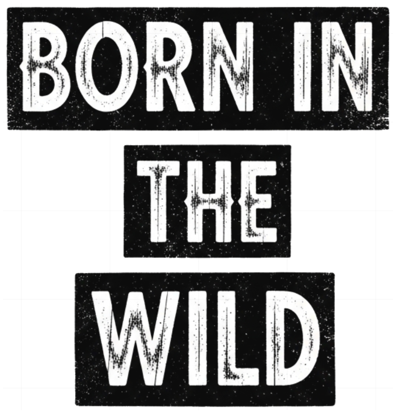 Áo Thun BORN IN THE WILD Gothic Streetwear Cotton Unisex Form Rộng - 100626-14-13-PFT