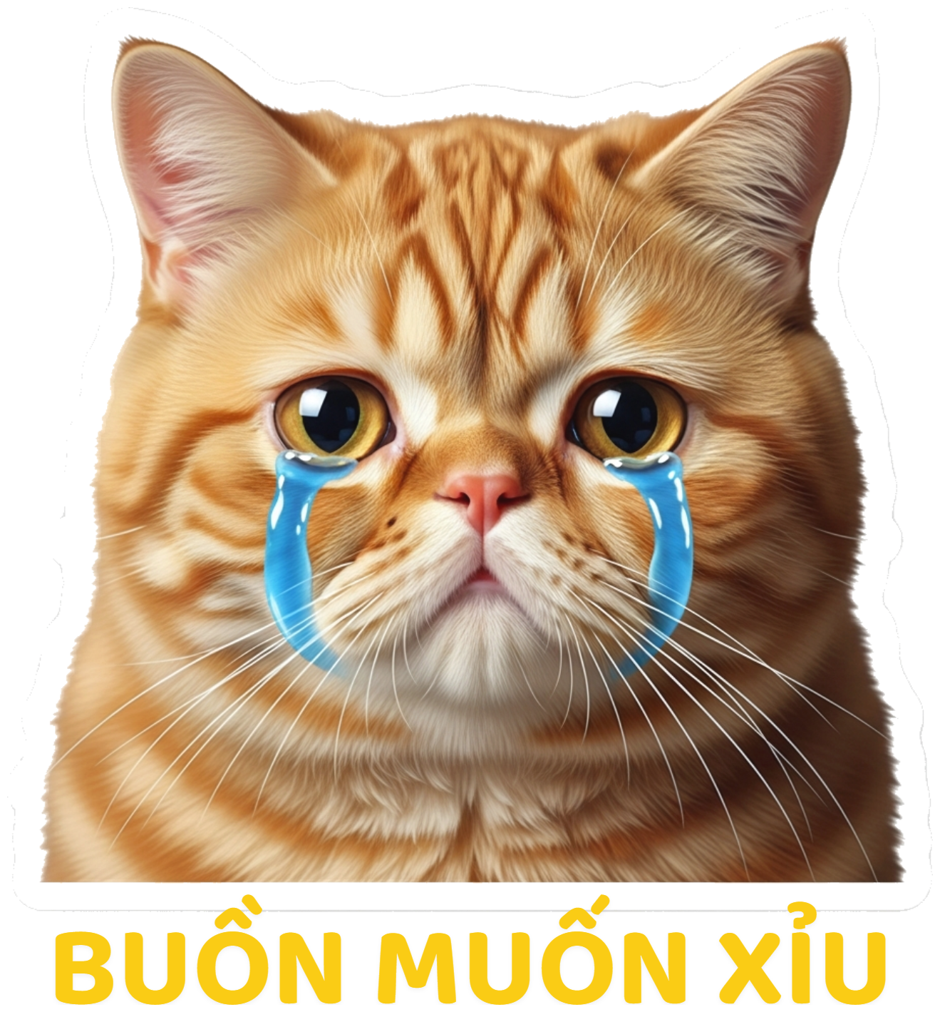 Áo Thun Unisex Buồn Muốn Xỉu Form Rộng Cotton Meme Mèo Khóc - 120626-14-54-TTX