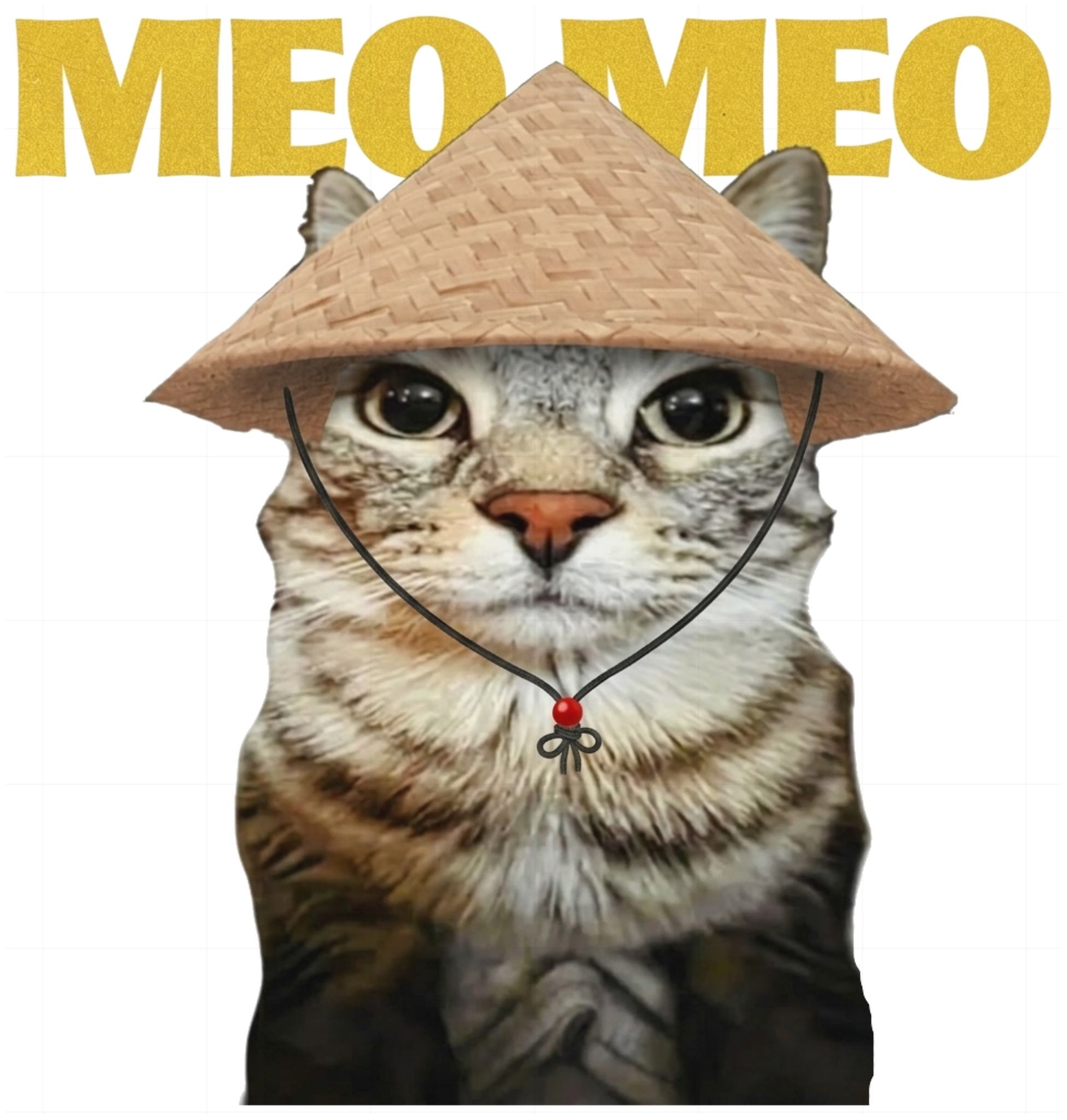 Áo Thun Mèo Mèo Nón Lá Unisex Oversize Streetwear Graphic Tee vietnam.yo - 131026-15-45-NSB