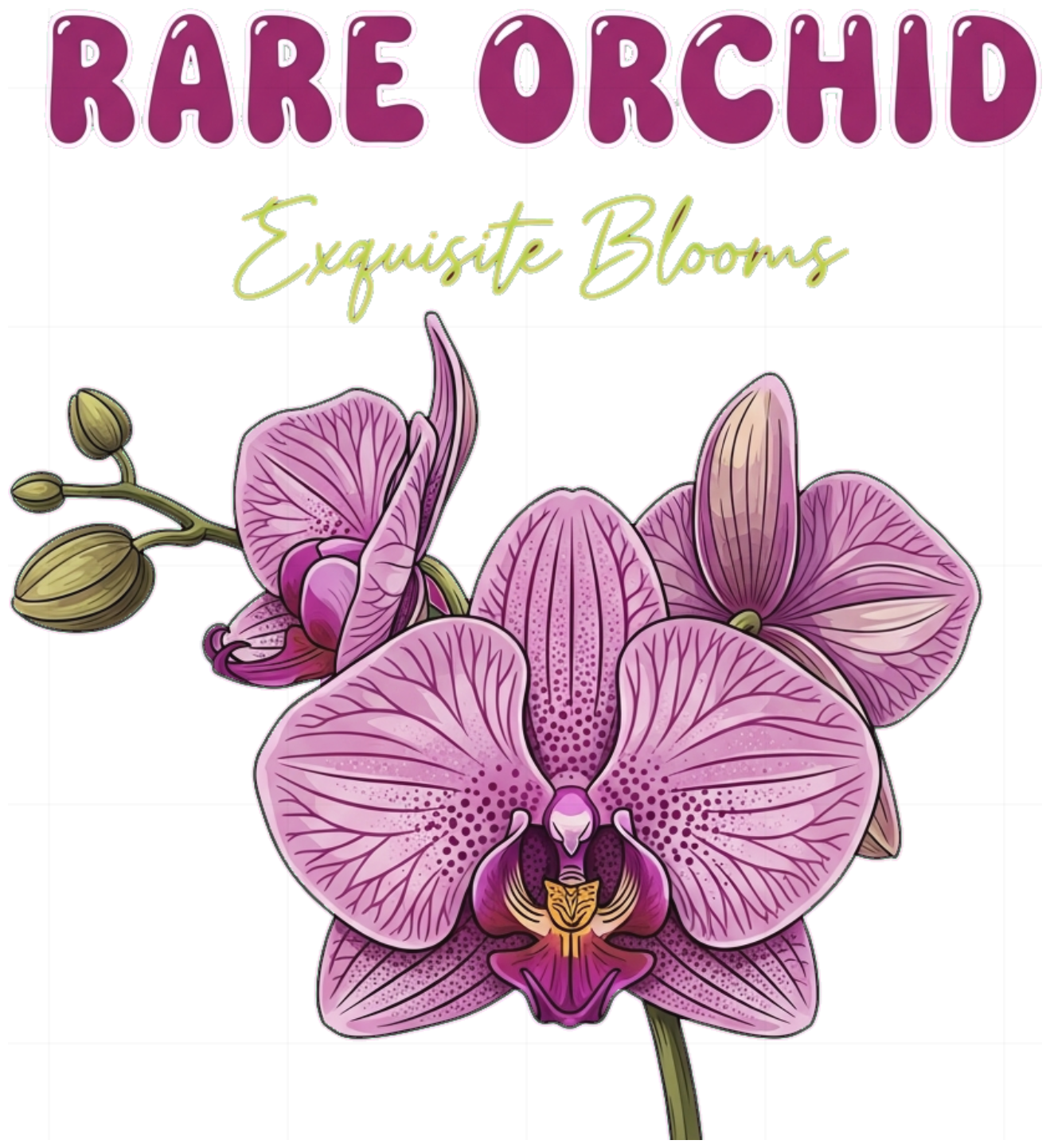 Áo thun Rare Orchid Form rộng Unisex Cotton cao cấp - 200626-15-46-LSV