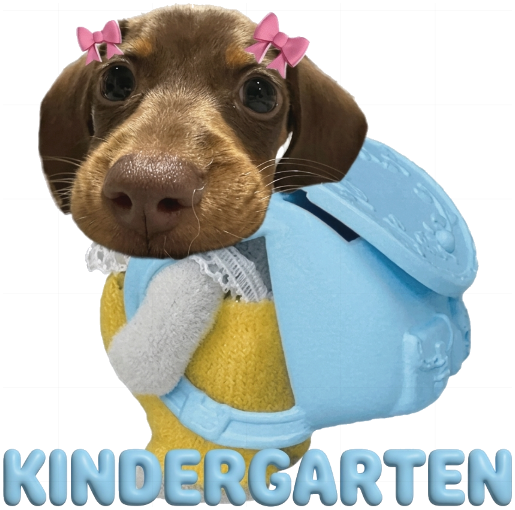 Áo Thun Tay Dài Sọc Họa Tiết Kindergarten Puppy Coquette Form Rộng Cotton Cao Cấp Trend 2024 - 211026-10-07-ZXX