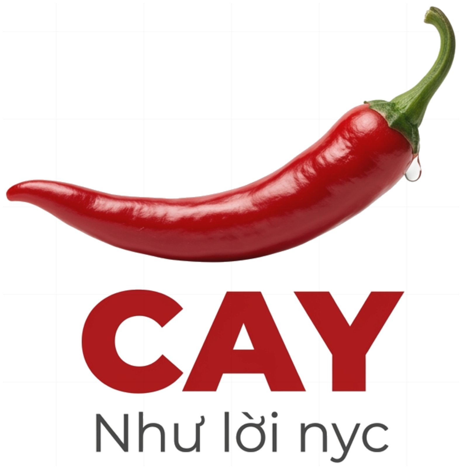 Áo Thun CAY Như Lời NYC Unisex vietnam.yo Form Rộng Cotton Trendy 270726-15-24-CQP
