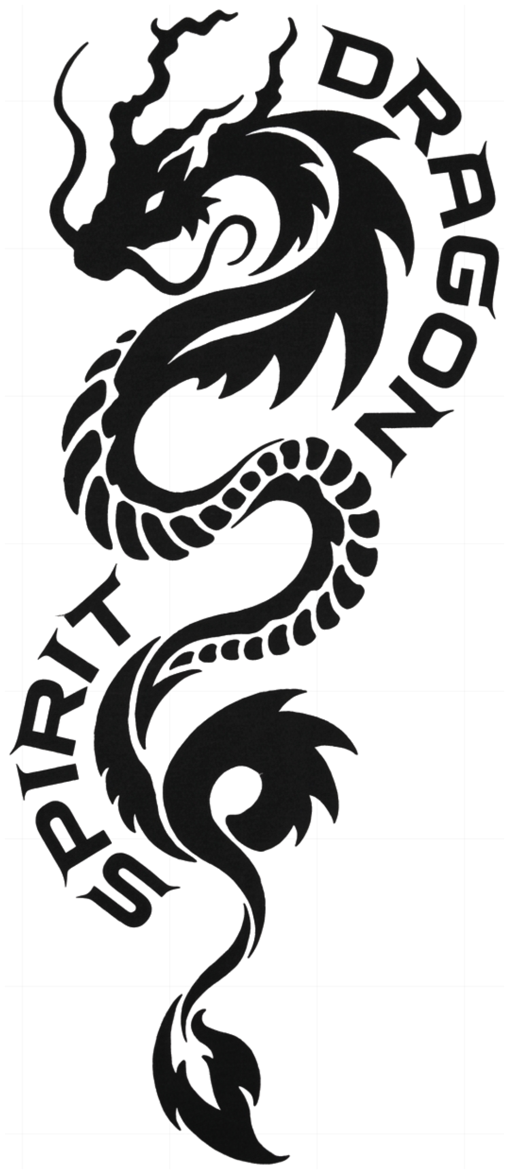 Áo Thun Dragon Spirit Y2K Tribal Unisex Form Boxy Cotton Streetwear Local Brand | 271026-16-06-HAW