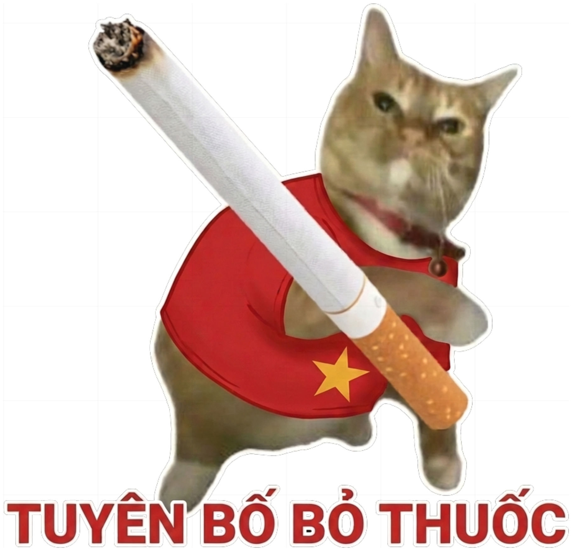 Áo Sweater Mèo Tuyên Bố Bỏ Thuốc Unisex Form Rộng Streetwear Meme vietnam.yo - 280926-16-18-CUA