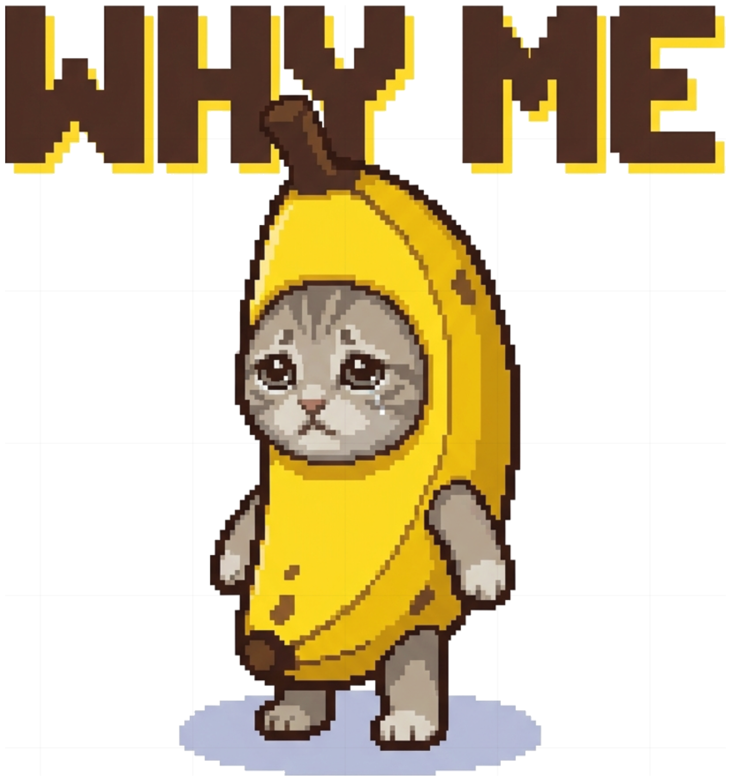 Áo Thun Unisex Oversize Meme Banana Cat Pixel Art Why Me Cotton 100% Streetwear Trendy - 290826-09-02-SCH