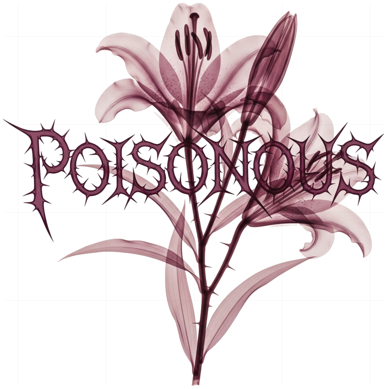 Áo Thun Unisex Local Brand Poisonous Flower X-Ray - Áo Phông Trắng Cotton 100% Form Rộng Streetwear Cực Chất 300526-15-25-CKG