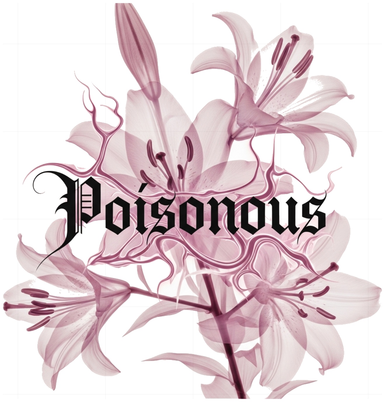 Áo Thun Unisex Trắng In Hình Hoa Ly X-ray Poisonous Form Rộng Cực Chất - Áo Phông Cotton 100% Local Brand Trendy 2024 - 300526-15-25-MYS