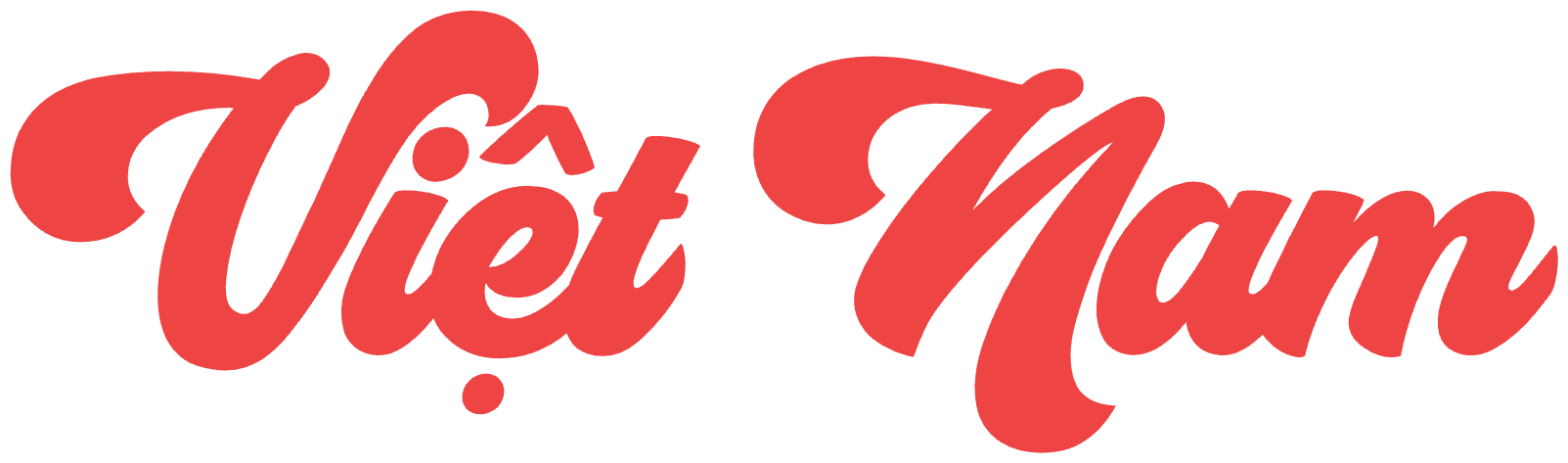 Áo Thun Trắng In Chữ Việt Nam Nghệ Thuật Cao Cấp - 010426-12-36-QEB