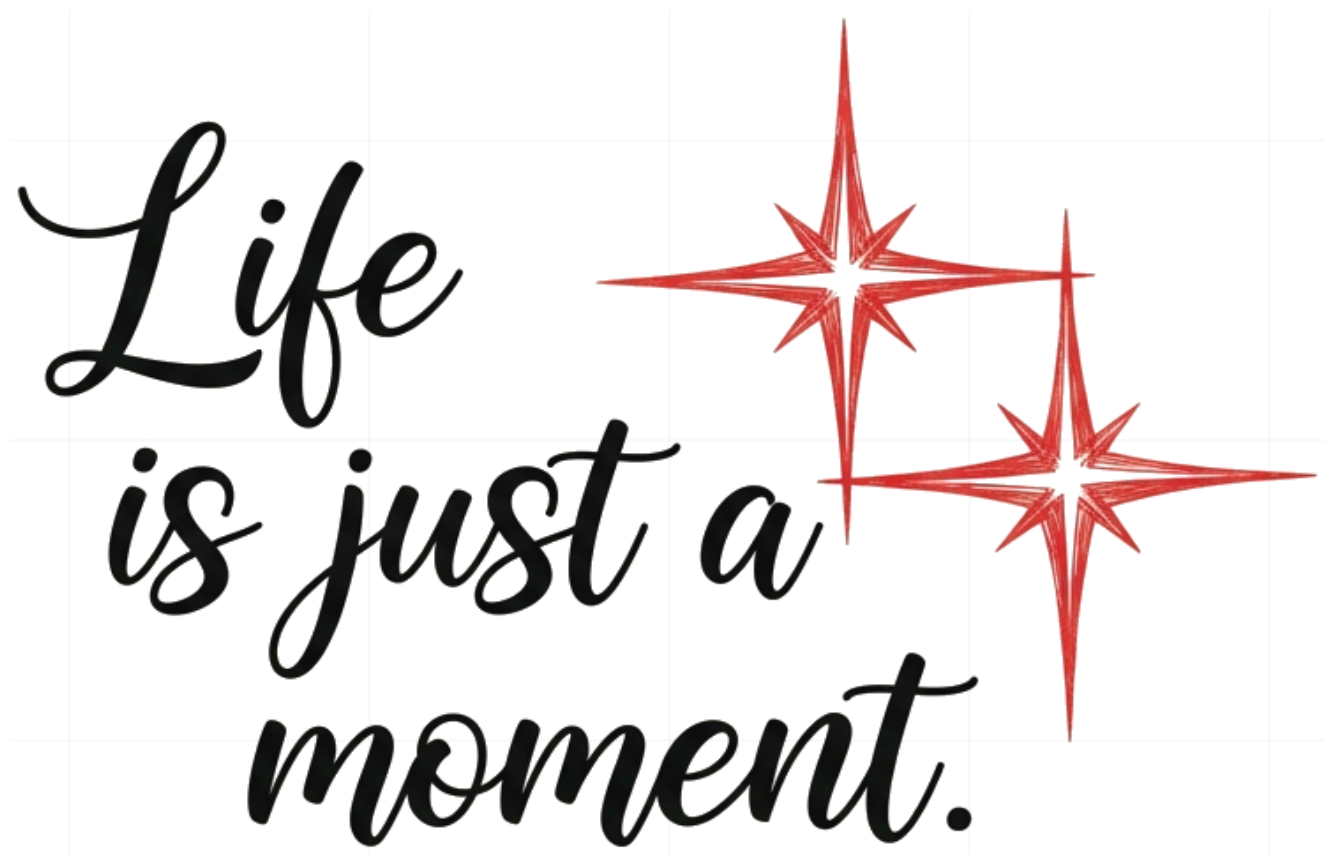 Áo Thun Unisex Life Is Just A Moment Cotton 100% Form Rộng Trendy - 060626-16-21-PGQ