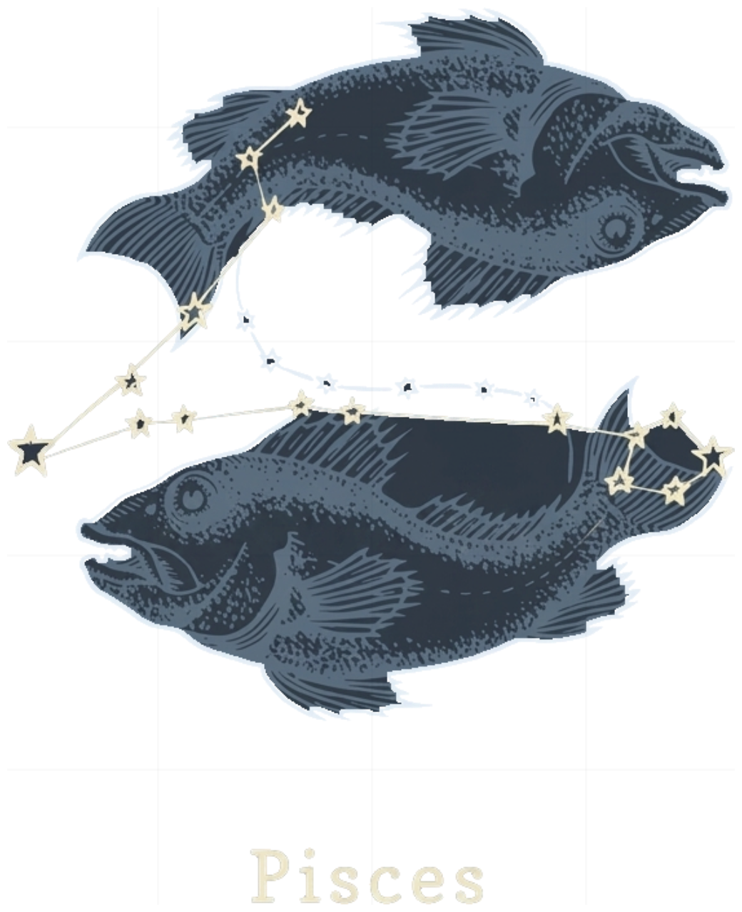 Áo Thun Đôi Celestial Pisces Oversize GIDDIE Unisex Tay Lỡ In Hình Hoạ Tiết Couple Tee Localbrand 070926-11-50-UNX