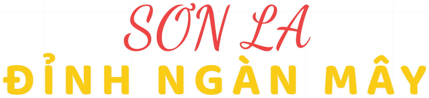 Áo Thun Sơn La Đỉnh Ngàn Mây Form Rộng Cotton Co Giãn 4 Chiều - 090626-16-33-WXM