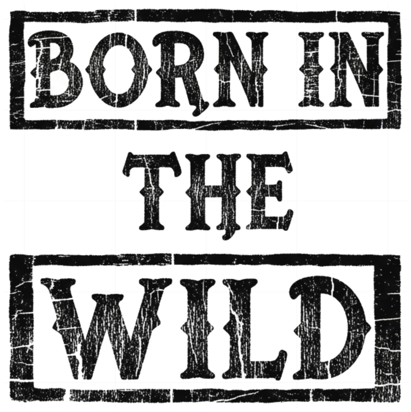 Áo thun trắng BORN IN THE WILD form rộng Streetwear Cotton cực chất - 100626-14-13-MDU