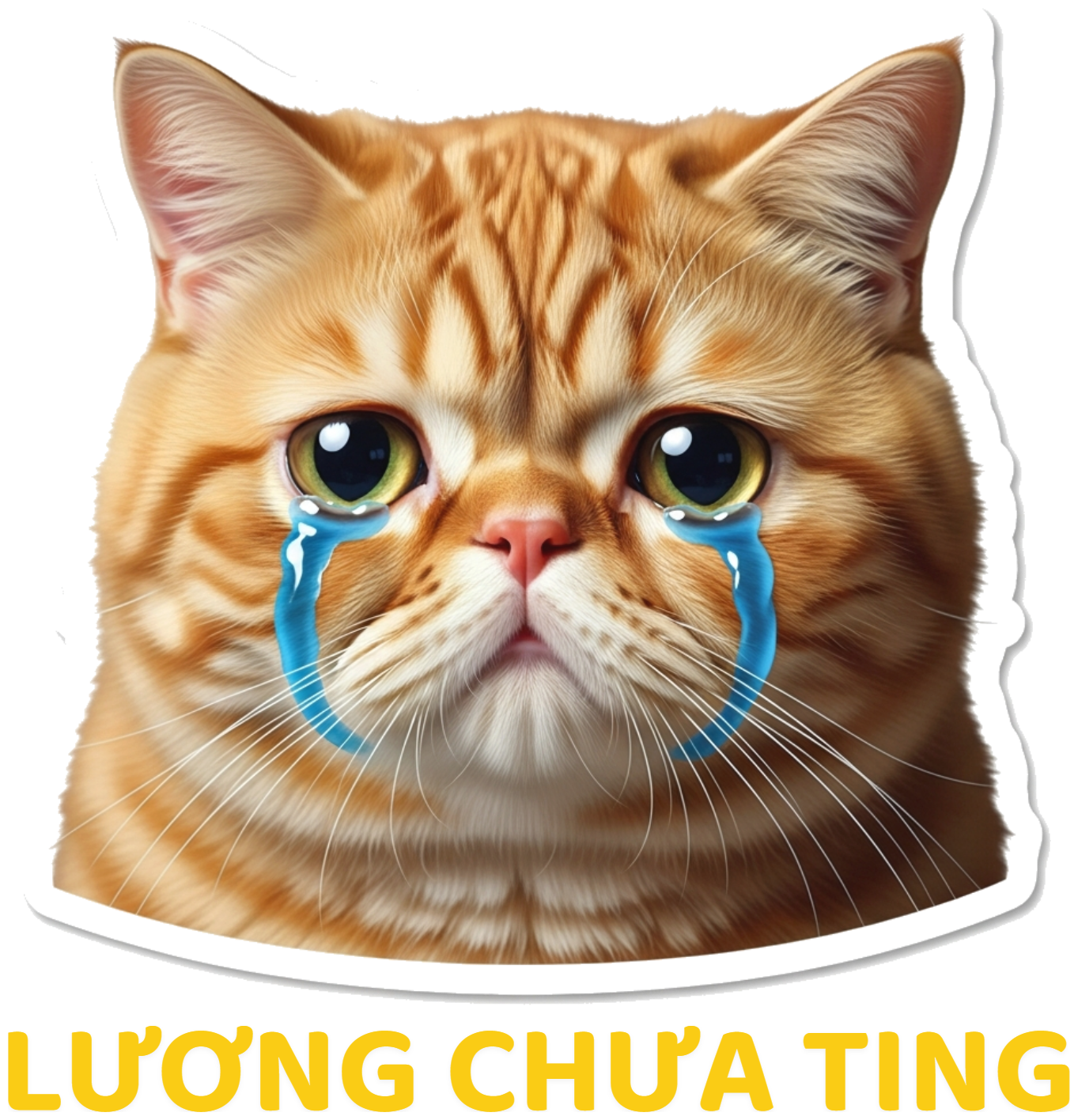 Áo Thun Lương Chưa Ting Unisex Form Rộng Cotton Meme Mèo Khóc Cực Chất - 120626-14-54-SOM