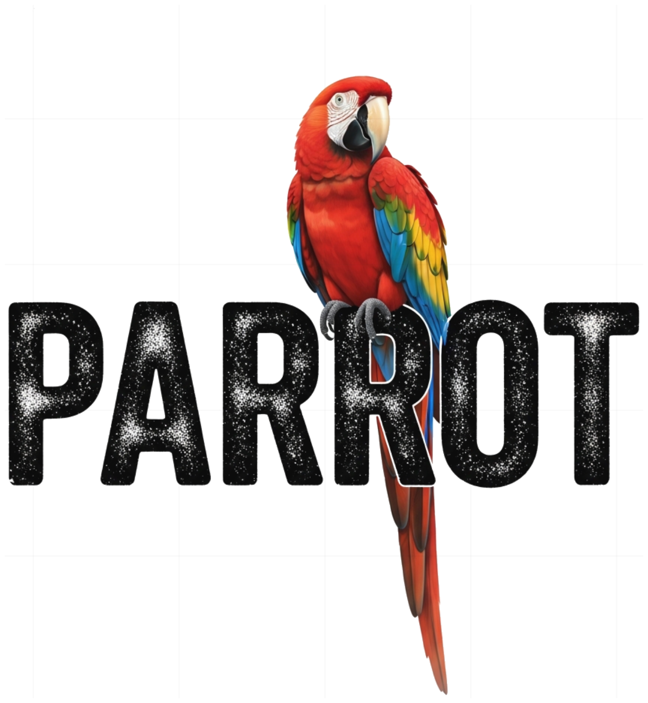 Áo Thun Đen PARROT Vẹt Macaw Streetwear Form Rộng Cotton Co Giãn - 150626-15-13-NMJ