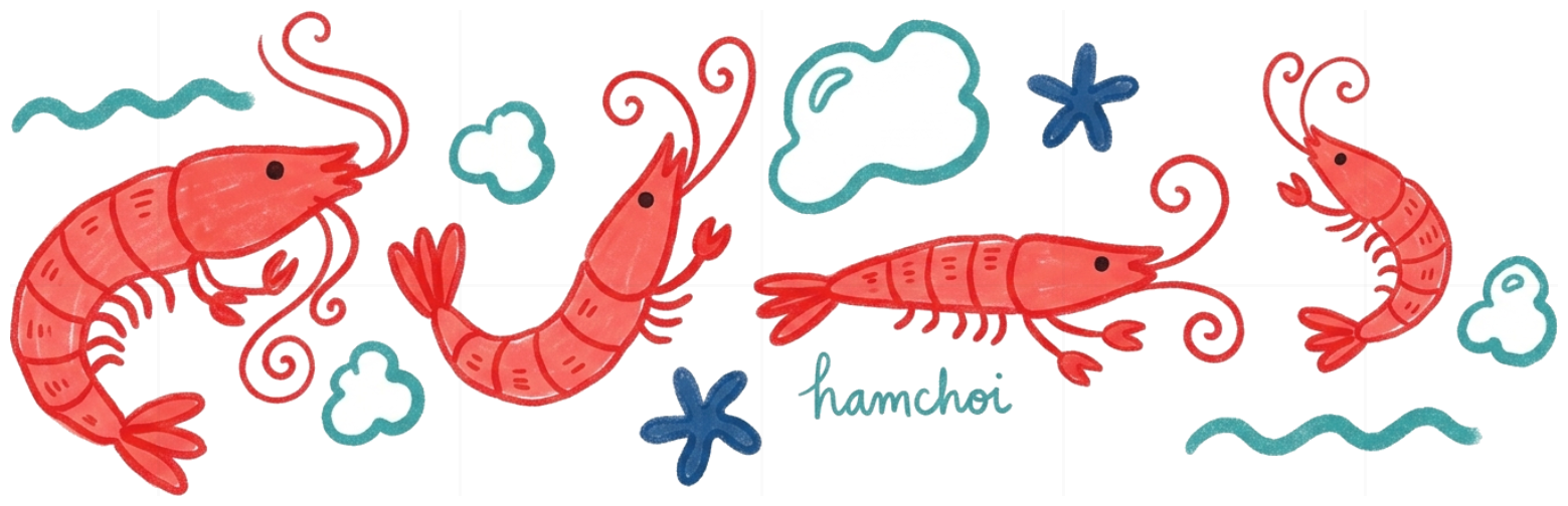 Áo thun tay lỡ unisex VNXK HAMCHOI Trắng form rộng thoải mái Shrimp Art Tee - 150726-11-39-SRW