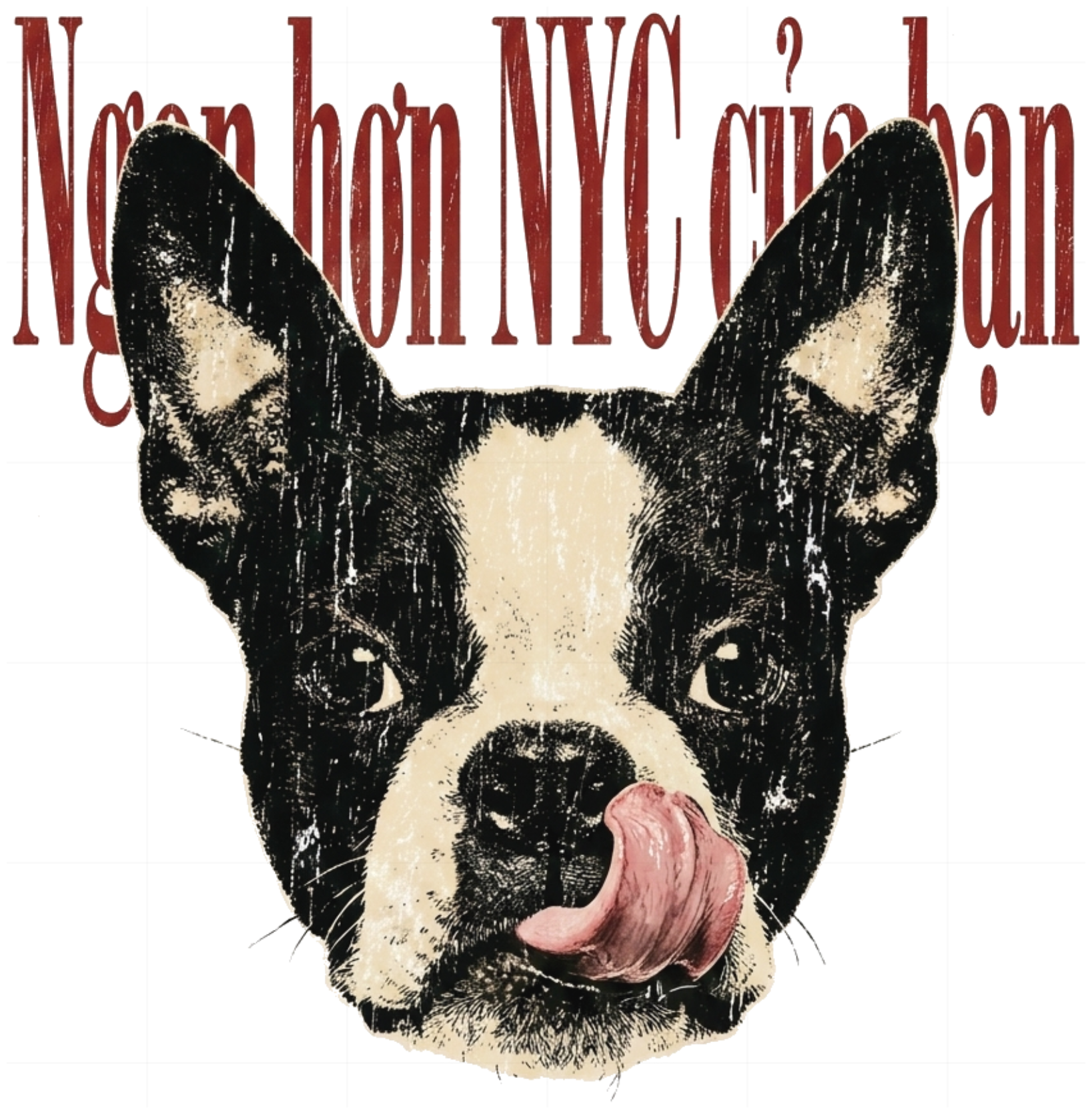 Áo Thun Boston Terrier Ngon Hơn NYC Của Bạn Phong Cách Vintage Grunge Cotton - 200726-17-27-ZFS